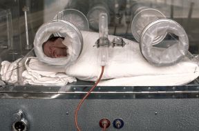 Neonato in incubatrice. Pediatria. Nei parti avvenuti quando la gestazione non era stata ancora condotta a termine, il neonato necessita spesso dell'incubatrice, per continuare il suo sviluppo in condizioni ambientali appropriate. Neonato in incubatrice. Pediatria. Nei parti avvenuti quando la gestazione non era stata ancora condotta a termine, il neonato necessita spesso dell'incubatrice, per continuare il suo sviluppo in condizioni ambientali appropriate.