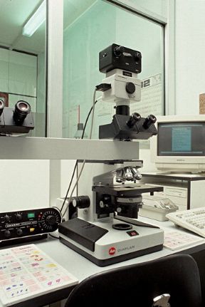 Il microscopio ha contribuito ai progressi della medicina. Miscroscopio. L'invenzione del microscopio, strumento per l'osservazione di oggetti molto piccoli di cui fornisce un'immagine ingrandita, ha contribuito notevolmente al progredire della scienza medica. Il microscopio ha contribuito ai progressi della medicina. Miscroscopio. L'invenzione del microscopio, strumento per l'osservazione di oggetti molto piccoli di cui fornisce un'immagine ingrandita, ha contribuito notevolmente al progredire della scienza medica.