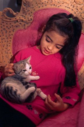 La toxoplasmosi. Toxoplasmosi. La trasmissione di questa malattia infettiva avviene o per il contatto con gli escrementi del gatto o ingerendo verdure crude non sufficientemente lavate, oppure mangiando carne cruda o poco cotta di animali infetti. Se contratta durante la gravidanza, la malattia può danneggiare seriamente lo sviluppo fetale. La toxoplasmosi. Toxoplasmosi. La trasmissione di questa malattia infettiva avviene o per il contatto con gli escrementi del gatto o ingerendo verdure crude non sufficientemente lavate, oppure mangiando carne cruda o poco cotta di animali infetti. Se contratta durante la gravidanza, la malattia può danneggiare seriamente lo sviluppo fetale.