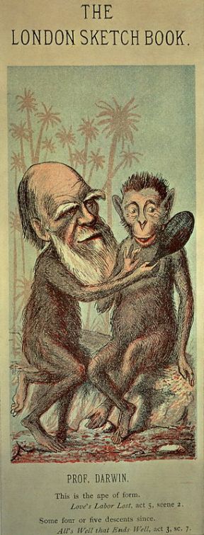I contributi di Darwin alla filogenesi. Filogenesi. Il naturalista inglese Charles Robert Darwin diede un grande contributo allo studio della filogenesi, con la sua teoria dell'evoluzione della specie. I contributi di Darwin alla filogenesi. Filogenesi. Il naturalista inglese Charles Robert Darwin diede un grande contributo allo studio della filogenesi, con la sua teoria dell'evoluzione della specie.