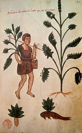 Il medico greco Ippocrate di Cos. Medicina. Il medico greco Ippocrate di Cos rimarrà nella storia come colui che ha capovolto il concetto di medico, da depositario divino della conoscenza a osservatore, studioso e ragionatore attento, fallibile come ogni essere umano, e proprio per questo obbligato da regole di studio e rigore morale, stigmatizzate nel celebre giuramento che porta il suo nome. Il medico greco Ippocrate di Cos. Medicina. Il medico greco Ippocrate di Cos rimarrà nella storia come colui che ha capovolto il concetto di medico, da depositario divino della conoscenza a osservatore, studioso e ragionatore attento, fallibile come ogni essere umano, e proprio per questo obbligato da regole di studio e rigore morale, stigmatizzate nel celebre giuramento che porta il suo nome.