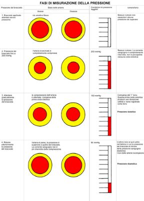 I valori determinati dalla misurazione della pressione. Misurazione della pressione arteriosa. Attraverso la misurazione della pressione arteriosa si determinano due importanti valori: la pressione sistolica, o massima, corrispondente alla fase di contrazione dei ventricoli e alla conseguente spinta del sangue nel circolo arterioso; la pressione diastolica, o minima, corrispondente alla fase di dilatazione e di riempimento dei ventricoli. I valori determinati dalla misurazione della pressione. Misurazione della pressione arteriosa. Attraverso la misurazione della pressione arteriosa si determinano due importanti valori: la pressione sistolica, o massima, corrispondente alla fase di contrazione dei ventricoli e alla conseguente spinta del sangue nel circolo arterioso; la pressione diastolica, o minima, corrispondente alla fase di dilatazione e di riempimento dei ventricoli.