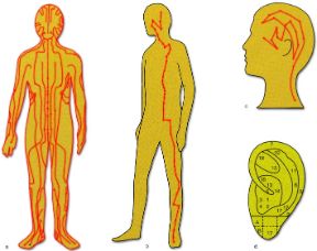 Possibili applicazioni dell'agopuntura. Agopuntura. a: meridiani principali; b: meridiano dello stomaco; c: meridiano della cistifellea (parte cefalica); d: modello per lo studio dell’auricoloterapia; zone di corrispondenza di organi e visceri: 1,2, polmone; 3, trachea; 4, bronchi; 5, diaframma; 6, simpatico; 7, 8, 9, 17, tonsilla; 10, 11, 12, 13, appendice; 14, stomaco; 15, cuore; 16, ghiandole endocrine; 17, faringe; 18, utero; A, anestesia odontoiatrica mascellare superiore; B, anestesia odontoiatrica mascellare inferiore. Possibili applicazioni dell'agopuntura. Agopuntura. a: meridiani principali; b: meridiano dello stomaco; c: meridiano della cistifellea (parte cefalica); d: modello per lo studio dell’auricoloterapia; zone di corrispondenza di organi e visceri: 1,2, polmone; 3, trachea; 4, bronchi; 5, diaframma; 6, simpatico; 7, 8, 9, 17, tonsilla; 10, 11, 12, 13, appendice; 14, stomaco; 15, cuore; 16, ghiandole endocrine; 17, faringe; 18, utero; A, anestesia odontoiatrica mascellare superiore; B, anestesia odontoiatrica mascellare inferiore.