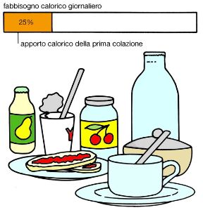 La prima colazione. Alimentazione. L'apporto calorico della prima colazione è spesso, a torto, trascurato. Questo primo La prima colazione. Alimentazione. L'apporto calorico della prima colazione è spesso, a torto, trascurato. Questo primo