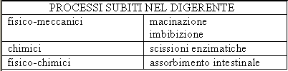 I processi dell'apparato digerente. Apparato digerente. La tabella illustra i processi chimici, fisici e meccanici subiti nell'apparato digerente.