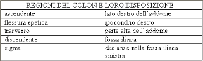 Tabella delle regioni del colon. Anatomia. La tabella descrive regioni del colon e la loro disposizione.