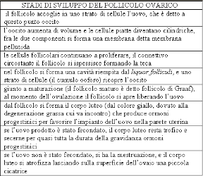Stadi di sviluppo del follicolo ovarico. Ginecologia. La tabella illustra gli stadi di sviluppo del follicolo ovarico dall'accoglimento dell'ovulo fino all'atrofia in caso di mancata fecondazione.