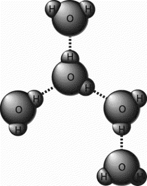 Figura 1.2 Formazione dei legami
a idrogeno tra
le molecole di acqua
a struttura dipolare. Figura 1.2 Formazione dei legami
a idrogeno tra
le molecole di acqua
a struttura dipolare.