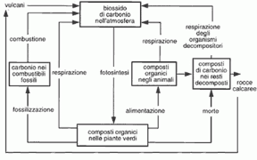 Figura 26.2 Ciclo del carbonio. Figura 26.2 Ciclo del carbonio.