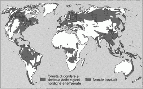 Figura 27.1 La distribuzione delle foreste nel mondo. Figura 27.1 La distribuzione delle foreste nel mondo.