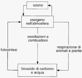 Figura 26.3 Ciclo dell'ossigeno. Figura 26.3 Ciclo dell'ossigeno.