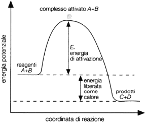 Figura 12.2 DIAGRAMMA DI VARIAZIONE DELL'ENERGIA POTENZIALE Per una generica reazione esotermica A+B → C+D, la differenza tra l'energia del complesso attivato A+B e quello dei reagenti iniziati A+B rappresenta l'energia di attivazione. Figura 12.2 DIAGRAMMA DI VARIAZIONE DELL'ENERGIA POTENZIALE Per una generica reazione esotermica A+B → C+D, la differenza tra l'energia del complesso attivato A+B e quello dei reagenti iniziati A+B rappresenta l'energia di attivazione.
