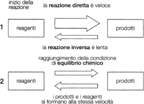 Figura 12.3 CONFRONTO TRA LA SITUAZIONE INIZIALE, 1, E LA SITUAZIONE IN CUI SI RAGGIUNGE L'EQUILIBRIO, 2, IN UNA REAZIONE CHIMICA Figura 12.3 CONFRONTO TRA LA SITUAZIONE INIZIALE, 1, E LA SITUAZIONE IN CUI SI RAGGIUNGE L'EQUILIBRIO, 2, IN UNA REAZIONE CHIMICA