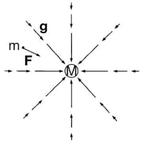 Figura 6.3 Le linee di forza del campo gravitazionale esercitato dalla Terra sono i raggi entranti nella sorgente. Una massa m risente della forza F = mg. Figura 6.3 Le linee di forza del campo gravitazionale esercitato dalla Terra sono i raggi entranti nella sorgente. Una massa m risente della forza F = mg.