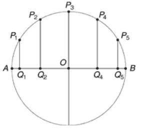Figura 4.5 Il punto P percorre archi di circonferenza uguali in tempi t uguali; nei medesimi istanti t, Q percorre segmenti di diametro sempre diversi. Figura 4.5 Il punto P percorre archi di circonferenza uguali in tempi t uguali; nei medesimi istanti t, Q percorre segmenti di diametro sempre diversi.