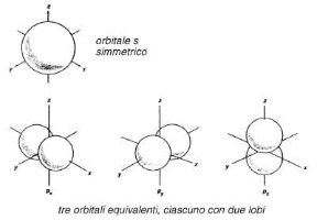 Figura 24.2 Orbitali di tipo s (A) e di tipo p (B), con le relative orientazioni spaziali. Figura 24.2 Orbitali di tipo s (A) e di tipo p (B), con le relative orientazioni spaziali.