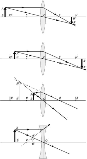 Figura 23.8 Composizione delle immagini in lenti convergenti e divergenti. Con una lente convergente, se l'oggetto AB viene posto a una distanza dalla lente superiore a due volte la distanza focale (1), l'immagine A'B' prodotta oltre la lente sarà reale, capovolta e rimpicciolita. Se l'oggetto si trova a una distanza inferiore al doppio della distanza focale, ma oltre il fuoco, l'immagine risultante sullo schermo (2) sarà reale, capovolta e ingrandita. Se infine l'oggetto si trova tra la lente e il fuoco (3) l'immagine sarà virtuale, diritta e ingrandita. Le lenti sferiche divergenti danno immagini virtuali e diritte, qualunque sia la distanza dell'oggetto (4). Figura 23.8 Composizione delle immagini in lenti convergenti e divergenti. Con una lente convergente, se l'oggetto AB viene posto a una distanza dalla lente superiore a due volte la distanza focale (1), l'immagine A'B' prodotta oltre la lente sarà reale, capovolta e rimpicciolita. Se l'oggetto si trova a una distanza inferiore al doppio della distanza focale, ma oltre il fuoco, l'immagine risultante sullo schermo (2) sarà reale, capovolta e ingrandita. Se infine l'oggetto si trova tra la lente e il fuoco (3) l'immagine sarà virtuale, diritta e ingrandita. Le lenti sferiche divergenti danno immagini virtuali e diritte, qualunque sia la distanza dell'oggetto (4).
