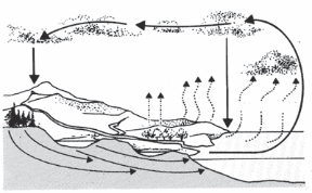 Figura 2.4.1 Ciclo dell'acqua