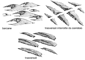 Figura 21.2 Le dune di sabbia sono asimmetriche: il lato sopravento ha una pendenza minore di quello sottovento.