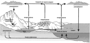 Figura 20.1 Il ciclo dell'acqua.