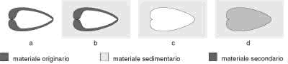 Figura 16.1 Fossilizzazione indiretta: una conchiglia di bivalve (a), sepolta da materiale sedimentario fine (b), ha lasciato nel materiale sedimentario la sua impronta (c); il materiale secondario, che riempie poi la cavità all'interno dell'impronta, costituisce il calco (d). Figura 16.1 Fossilizzazione indiretta: una conchiglia di bivalve (a), sepolta da materiale sedimentario fine (b), ha lasciato nel materiale sedimentario la sua impronta (c); il materiale secondario, che riempie poi la cavità all'interno dell'impronta, costituisce il calco (d).