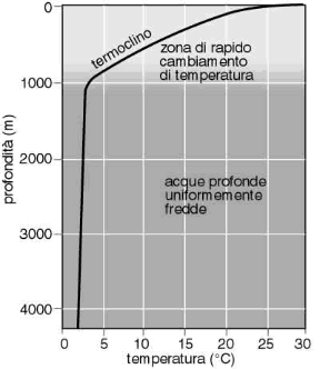 Figura 19.1b A Figura 19.1b A