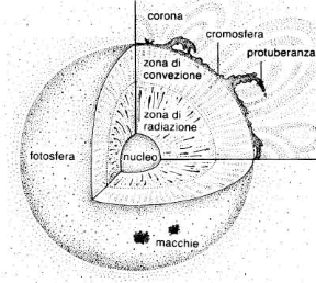 Figura 3.1 Sezione schematica del Sole. Figura 3.1 Sezione schematica del Sole.