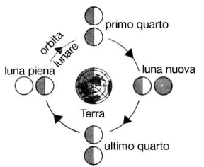 Figura 3.3 Le fasi lunari. Figura 3.3 Le fasi lunari.
