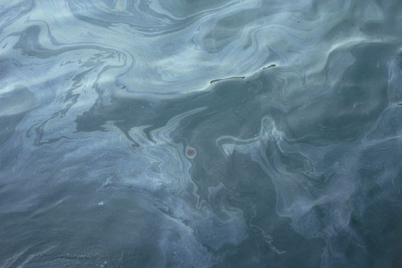 Contaminazione ambientale da petrolio Contaminazione dell’ambiente marino causata dal petrolio.
© De Agostini Picture Library. Contaminazione ambientale da petrolio Contaminazione dell’ambiente marino causata dal petrolio.
© De Agostini Picture Library.