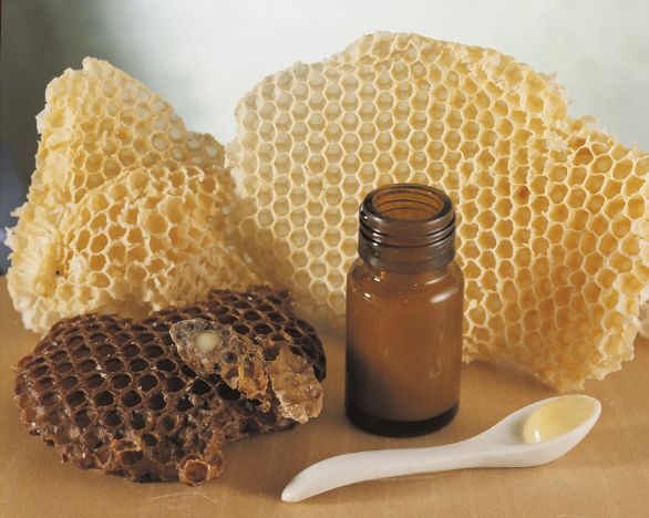 La pappa reale: un integratore naturale La pappa reale ha un alto valore nutritivo, contenendo glucidi, protidi e numerose vitamine. Viene anche usata industrialmente in soluzione alcolica come mezzo terapeutico per i ritardi della crescita, per prevenire i disturbi della senescenza e nella preparazione di prodotti cosmetici. La pappa reale: un integratore naturale La pappa reale ha un alto valore nutritivo, contenendo glucidi, protidi e numerose vitamine. Viene anche usata industrialmente in soluzione alcolica come mezzo terapeutico per i ritardi della crescita, per prevenire i disturbi della senescenza e nella preparazione di prodotti cosmetici.