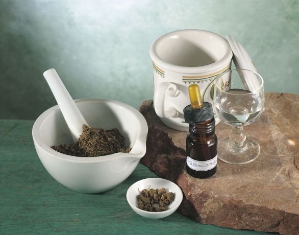 La valeriana come sedativo naturale La valeriana è una pianta erbacea comune tipica delle regioni fredde dell'Europa. Ha proprietà sedative, ipnotiche e spasmolitiche e non produce assuefazione o dipendenza. La valeriana come sedativo naturale La valeriana è una pianta erbacea comune tipica delle regioni fredde dell'Europa. Ha proprietà sedative, ipnotiche e spasmolitiche e non produce assuefazione o dipendenza.