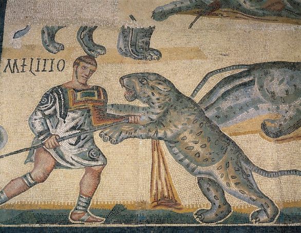 I gladiatori, scena di combattimento su mosaico Civiltà romana, IV secolo d.C. Mosaico raffigurante un combattimento di gladiatori. Da Terranova nei dintoni di Tuscolo (Lazio). Particolare: gladiatore contro una tigre. I gladiatori, scena di combattimento su mosaico Civiltà romana, IV secolo d.C. Mosaico raffigurante un combattimento di gladiatori. Da Terranova nei dintoni di Tuscolo (Lazio). Particolare: gladiatore contro una tigre.