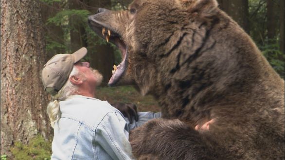 Incontro ravvicinato con un Grizzly Spettacolare incontro ravvicinato con un Grizzly Incontro ravvicinato con un Grizzly Spettacolare incontro ravvicinato con un Grizzly