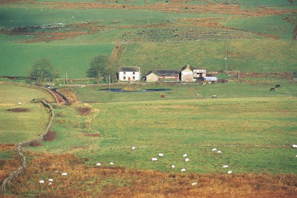 Contea di Northumberland Veduta della contea inglese di Northumberland dove sono state girate alcune scene degli episodi di Harry Potter.
© De Agostini Picture Library. Contea di Northumberland Veduta della contea inglese di Northumberland dove sono state girate alcune scene degli episodi di Harry Potter.
© De Agostini Picture Library.