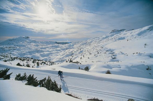 Pista da fondo nella zona del monte Ortigara in Veneto Le gare di gran fondo prevedono gare di 30 o 50 km con un dislivello di 250 m e una salita massima continuativa di 150 m; i totali dei dislivelli possono raggiungere il massimo di 700-1000 m per le gare di 30 km e di 1000-1500 m per quelle di 50 km. La categoria femminile è prevista solo per le gare del primo tipo. Alle gare di fondo possono partecipare uomini e donne: per la categoria maschile il percorso è di 15 km, con un dislivello massimo di 250 m e un dislivello totale massimo di 450-600 m, mentre per quella femminile sono previste distanze di 5 e 10 km (5 km: dislivello massimo 100 m, totale 150-200 m; 10 km: dislivello massimo 150 m, totale 250-300 m). Pista da fondo nella zona del monte Ortigara in Veneto Le gare di gran fondo prevedono gare di 30 o 50 km con un dislivello di 250 m e una salita massima continuativa di 150 m; i totali dei dislivelli possono raggiungere il massimo di 700-1000 m per le gare di 30 km e di 1000-1500 m per quelle di 50 km. La categoria femminile è prevista solo per le gare del primo tipo. Alle gare di fondo possono partecipare uomini e donne: per la categoria maschile il percorso è di 15 km, con un dislivello massimo di 250 m e un dislivello totale massimo di 450-600 m, mentre per quella femminile sono previste distanze di 5 e 10 km (5 km: dislivello massimo 100 m, totale 150-200 m; 10 km: dislivello massimo 150 m, totale 250-300 m).
