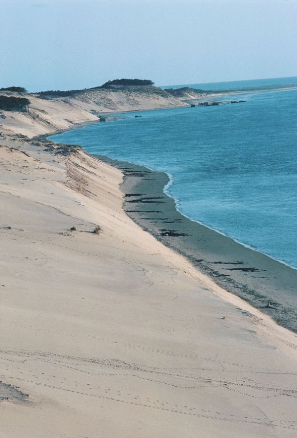 Francia, regione dell'Aquitania, dune di Pilat L’Aquitania si affaccia sull'oceano Atlantico con una costa bassa e paludosa. Quasi ovunque pianeggiante, per lo più ricoperta da terreni alluvionali quaternari, si estende in gran parte sulla sezione occidentale del bacino d'Aquitania. Il capoluogo Boardeaux è un importante centro commerciale, circondato da una zona vinicola famosa internazionalmente. Francia, regione dell'Aquitania, dune di Pilat L’Aquitania si affaccia sull'oceano Atlantico con una costa bassa e paludosa. Quasi ovunque pianeggiante, per lo più ricoperta da terreni alluvionali quaternari, si estende in gran parte sulla sezione occidentale del bacino d'Aquitania. Il capoluogo Boardeaux è un importante centro commerciale, circondato da una zona vinicola famosa internazionalmente.
