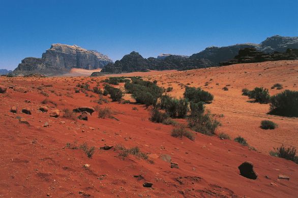 Giordania, deserto del Wadi Rum La Giordania si identifica geograficamente con le distese tabulari a E del fiume Giordano, che costituiscono una parte integrante della vasta regione desertica e subdesertica siro-arabica. Nel complesso il Paese corrisponde a un arido altopiano la cui continuità è rotta, sul margine occidentale, dai rilievi che orlano la depressione tettonica palestinese. Giordania, deserto del Wadi Rum La Giordania si identifica geograficamente con le distese tabulari a E del fiume Giordano, che costituiscono una parte integrante della vasta regione desertica e subdesertica siro-arabica. Nel complesso il Paese corrisponde a un arido altopiano la cui continuità è rotta, sul margine occidentale, dai rilievi che orlano la depressione tettonica palestinese.