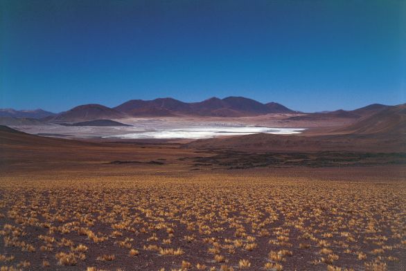 Cile, lago salato nel deserto di Atacama Il deserto di Atacama è una regione desertica del Cile settentrionale, costituita da una serie di bacini depressi colmati da materiali detritici od occupati da depositi salini, è caratterizzata da un clima di tipo subdesertico. Cile, lago salato nel deserto di Atacama Il deserto di Atacama è una regione desertica del Cile settentrionale, costituita da una serie di bacini depressi colmati da materiali detritici od occupati da depositi salini, è caratterizzata da un clima di tipo subdesertico.