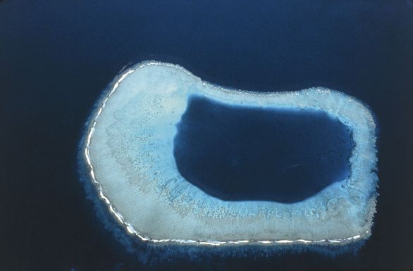 Isola, Arcipelago delle Figi Veduta aerea di un'isola nell'arcipelago delle Figi.
© De Agostini Picture Library. Isola, Arcipelago delle Figi Veduta aerea di un'isola nell'arcipelago delle Figi.
© De Agostini Picture Library.