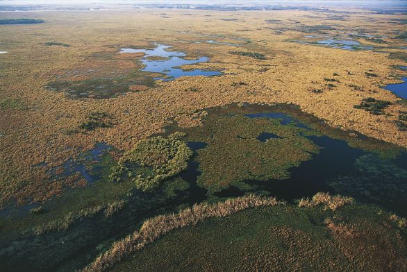 Veduta aerea della laguna di Bayous, nella regione di Laffitte in Louisiana Il territorio della Louisiana è in prevalenza pianeggiante, appena mosso da dolci ondulazioni collinari; la pianura costiera è caratterizzata da vaste paludi, lagune e laghi dove vivono numerosi alligatori. Veduta aerea della laguna di Bayous, nella regione di Laffitte in Louisiana Il territorio della Louisiana è in prevalenza pianeggiante, appena mosso da dolci ondulazioni collinari; la pianura costiera è caratterizzata da vaste paludi, lagune e laghi dove vivono numerosi alligatori.