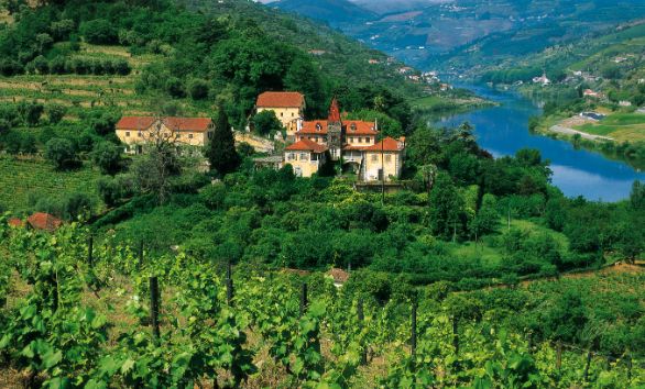 Intorno a Rio Douro, Portogallo Lungo tutta la valle del Rio Douro, il fiume che sfocia a Porto, l’assiduo lavoro dei contadini nel corso dei secoli ha scavato nella roccia migliaia di terrazze sulle quali è cresciuto uno dei vitigni più famosi del mondo, l’unica vera ricchezza di questa regione. Intorno a Rio Douro, Portogallo Lungo tutta la valle del Rio Douro, il fiume che sfocia a Porto, l’assiduo lavoro dei contadini nel corso dei secoli ha scavato nella roccia migliaia di terrazze sulle quali è cresciuto uno dei vitigni più famosi del mondo, l’unica vera ricchezza di questa regione.
