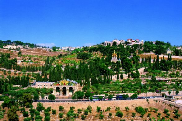 Egitto, Monte degli Ulivi Il Monte degli Ulivi già nel IV secolo era ricoperto di chiese. Oggi vi si notano soprattutto la Basilica dell’Agonia, il monastero russo di Santa Maria Maddalena e la chiesetta del Dominus Flevit. Egitto, Monte degli Ulivi Il Monte degli Ulivi già nel IV secolo era ricoperto di chiese. Oggi vi si notano soprattutto la Basilica dell’Agonia, il monastero russo di Santa Maria Maddalena e la chiesetta del Dominus Flevit.