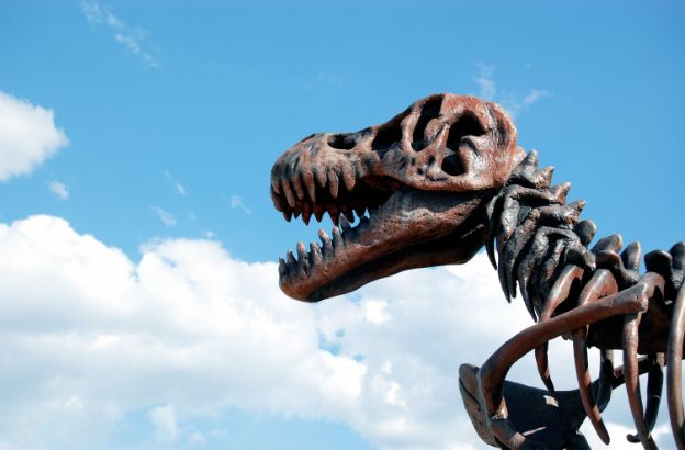 dinosauro dinosauro