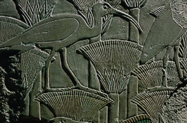 abusir-rilievo-tempio-uccelli