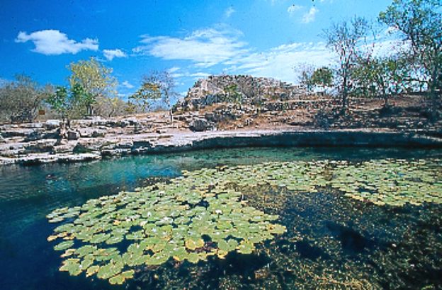 cenote-dzibilchaltun-yucatan cenote-dzibilchaltun-yucatan