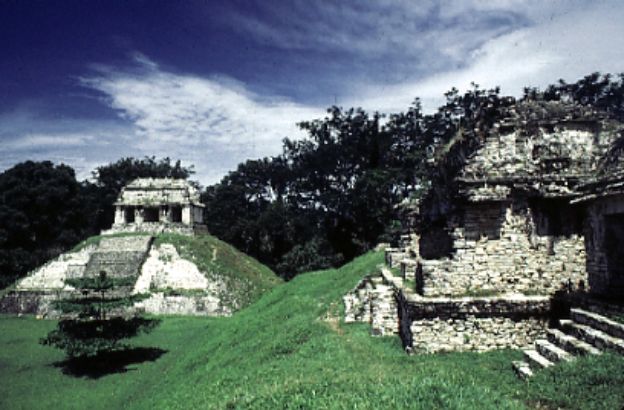 palazzi-foresta-palenque palazzi-foresta-palenque