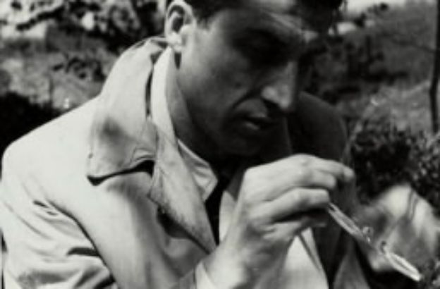 Cesare-Pavese-974716 Cesare-Pavese-974716