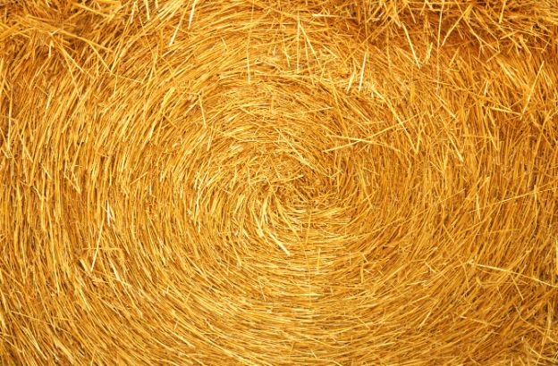 cerchi-nel-grano cerchi-nel-grano