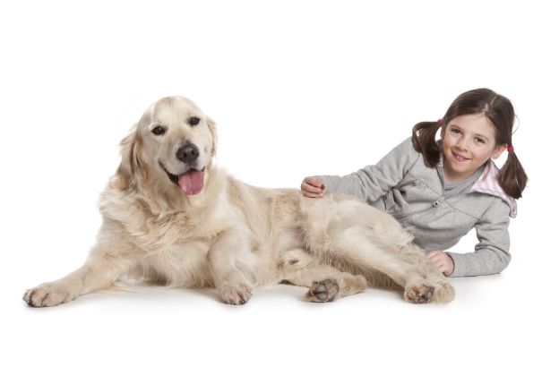 pet-therapy pet-therapy