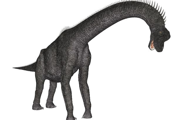 uccelli-discendenti-dinosauri uccelli-discendenti-dinosauri